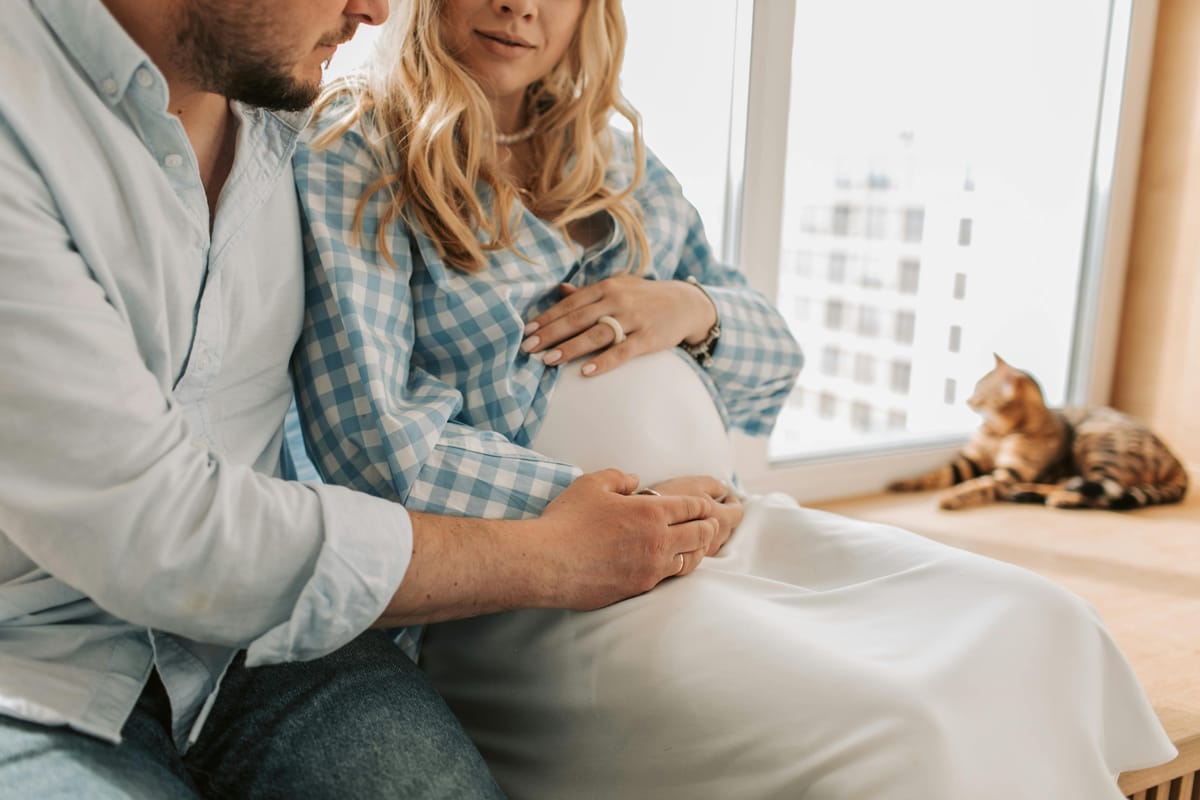 Grossesse et chat : comment gérer le comportement de votre félin ?